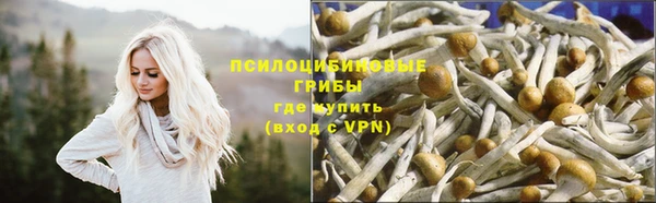 бошки Алзамай