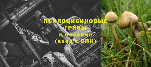 бошки Алзамай
