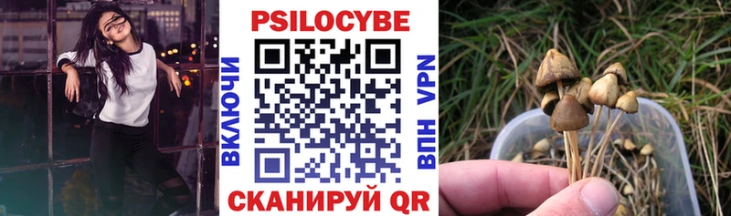 Псилоцибиновые грибы ЛСД площадка формула Шимановск где купить наркотик KRAKEN ссылка