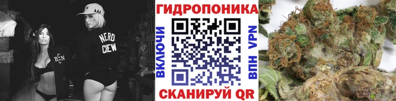 цена наркотик  сайты даркнета наркотические препараты  Шишки марихуана марихуана  Шимановск 
